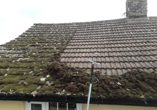 clearing moss from a roof