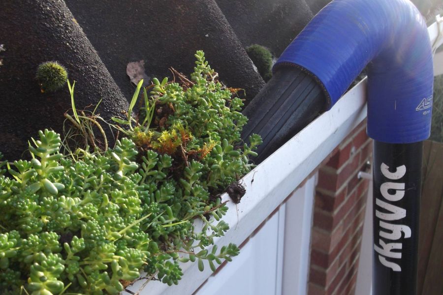 roof vaccum
